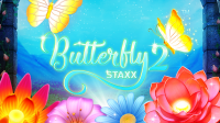 Schmetterling Staxx 2