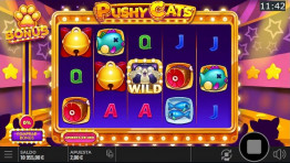 Aufdringliche Katzen-Slots