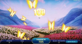 Butterfly Frenzy Bonusspiel